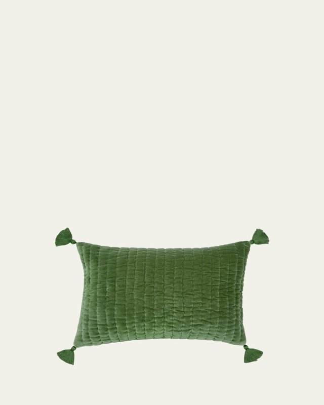 Velvet Kidney Pillow
